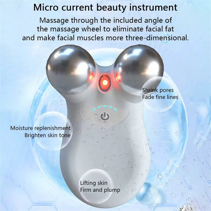 EMS Microcurrent Massage